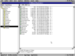 Administrador de archivos para BlueOS® en Visual Pascal.